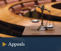 Civil & Criminal Appeals Attorney in Nassau County Civil & Criminal Appeals Attorney in Nassau County
