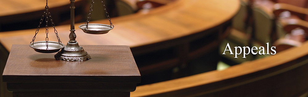 Civil & Criminal Appeals Attorney in New York Civil & Criminal Appeals Attorney in New York