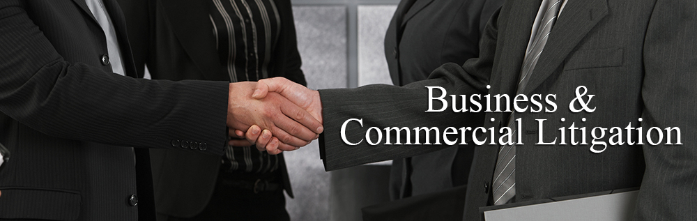 Business & Commercial Litigation Attorney in New York Business & Commercial Litigation Attorney in New York