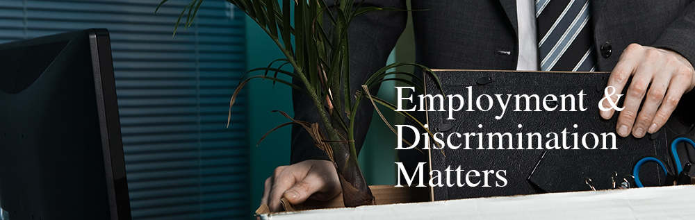 Employment & Pension Matters Attorney in New York Employment & Discrimination Matters Attorney in New York